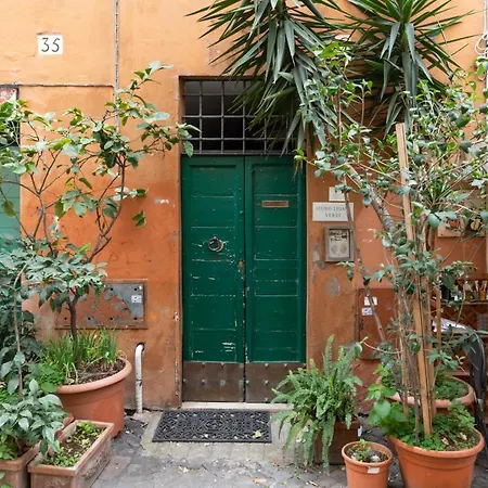 Navona Shiny Studio *