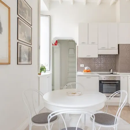Navona Shiny Studio *